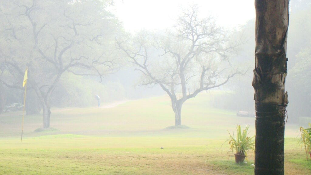 Fairway and trees at Delhi Golf Club in an archival 2010 photograph.