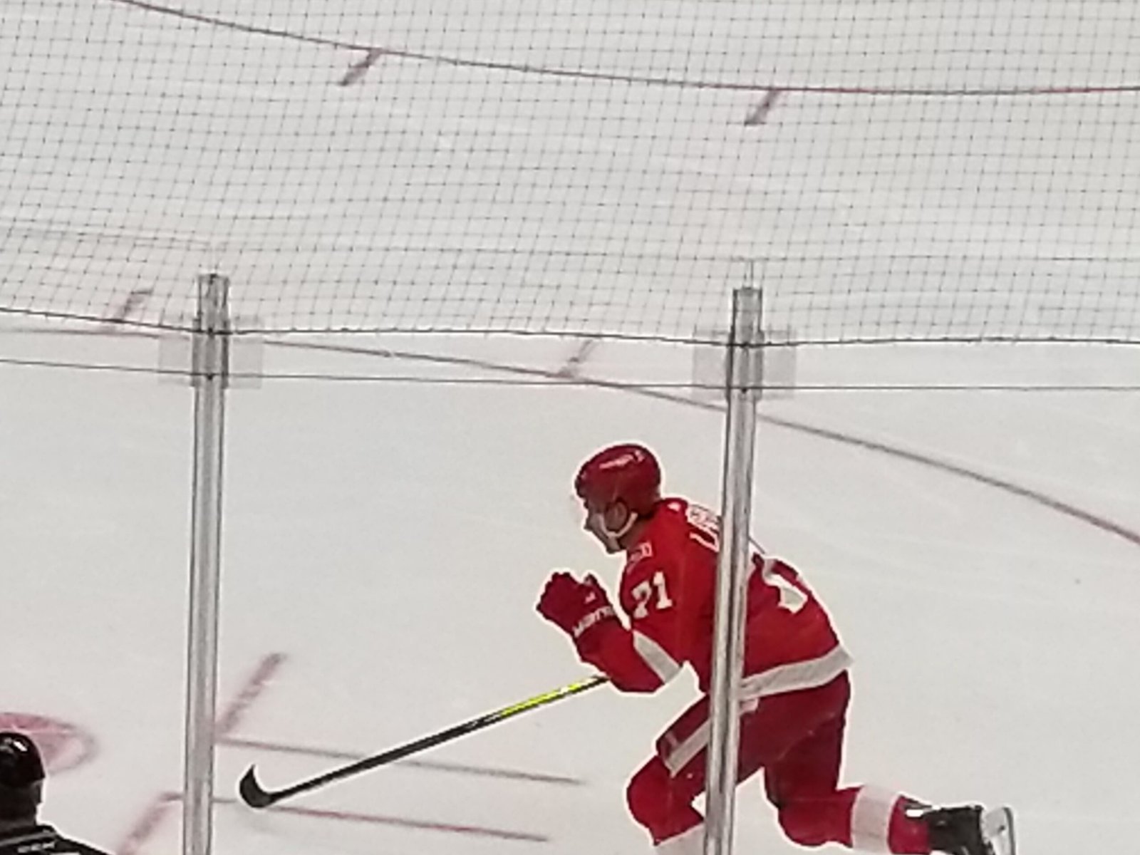Dylan Larkin skates on the ice in Detroit’s red number 71 jersey.