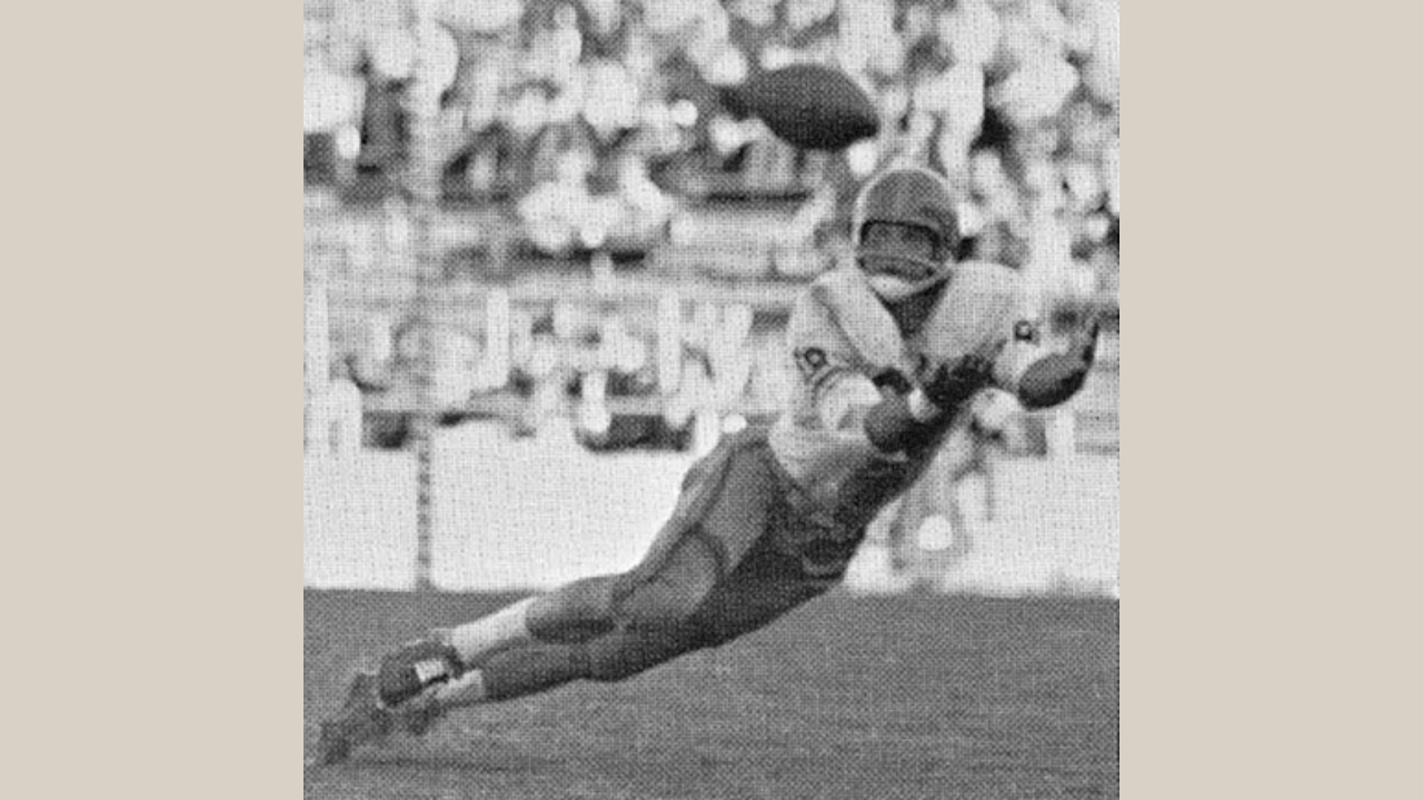 An archival photograph of Mike Ditka catching a pass for the University of Pittsburgh in 1960.