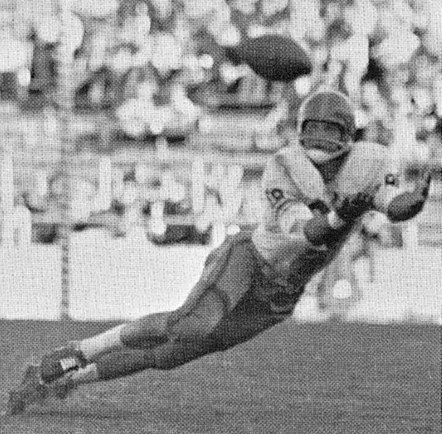An archival photograph of Mike Ditka catching a pass for the University of Pittsburgh in 1960.